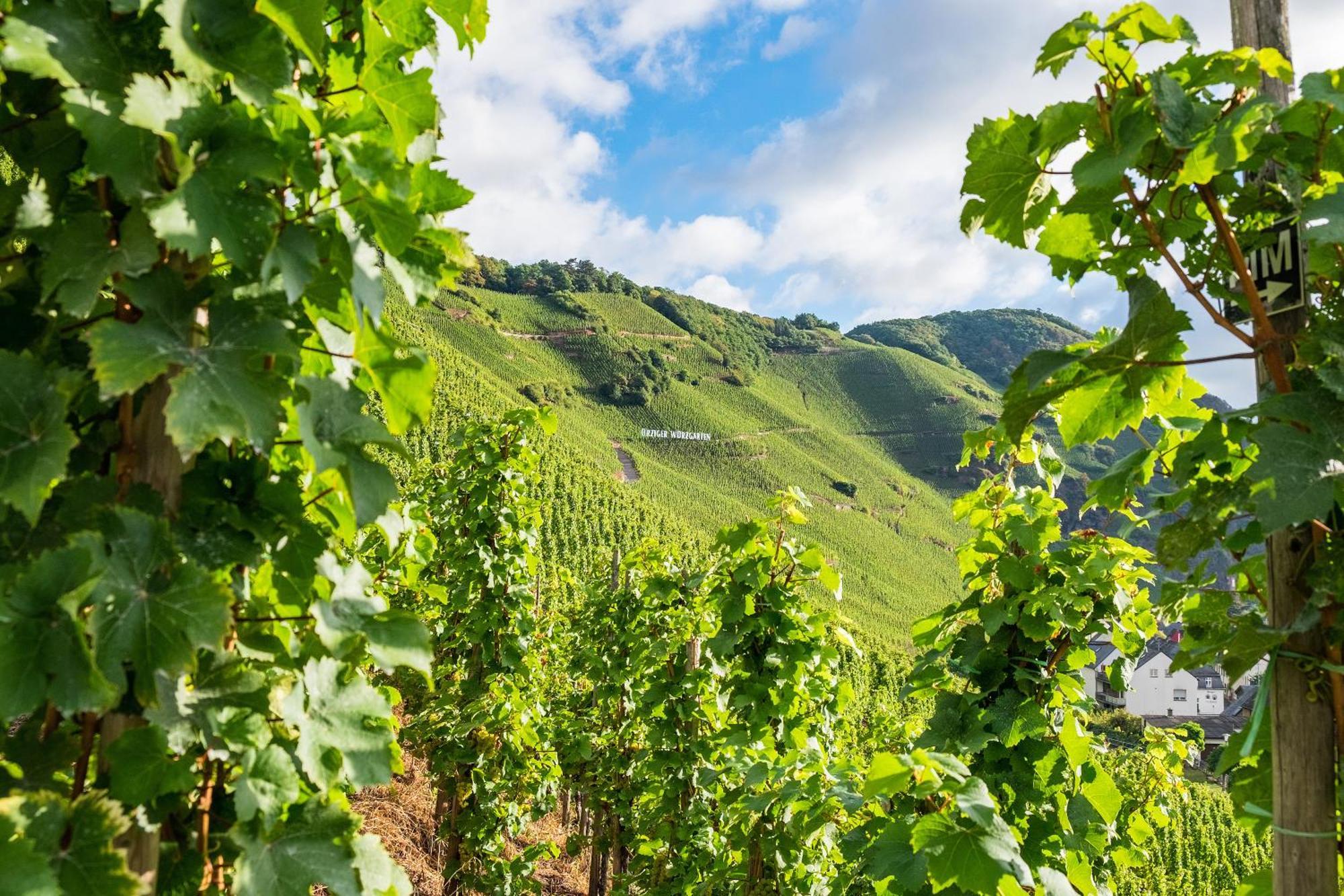 Weingut / Gaestehaus Gerlach 3*