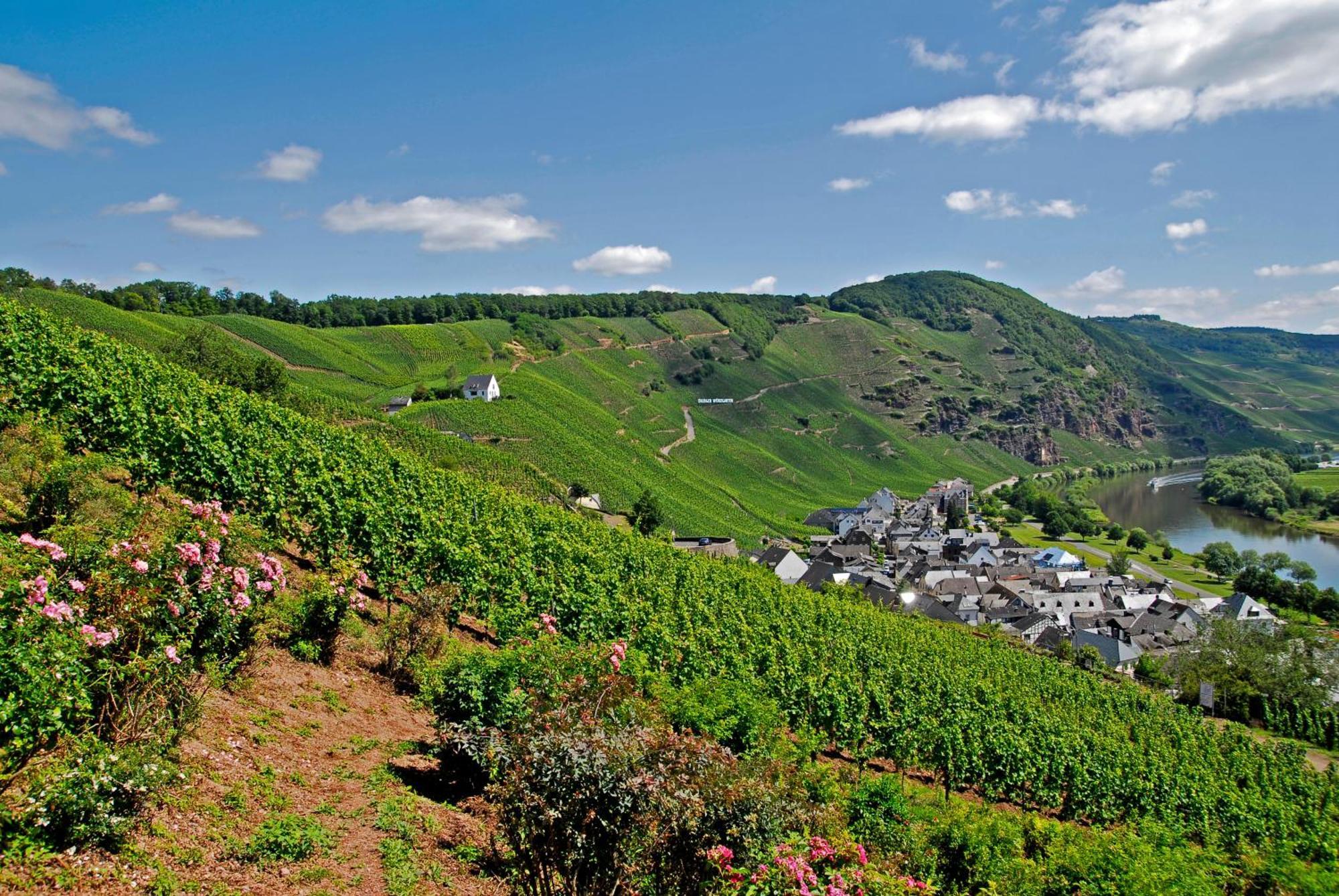 Weingut / Gaestehaus Gerlach 3* Uerzig