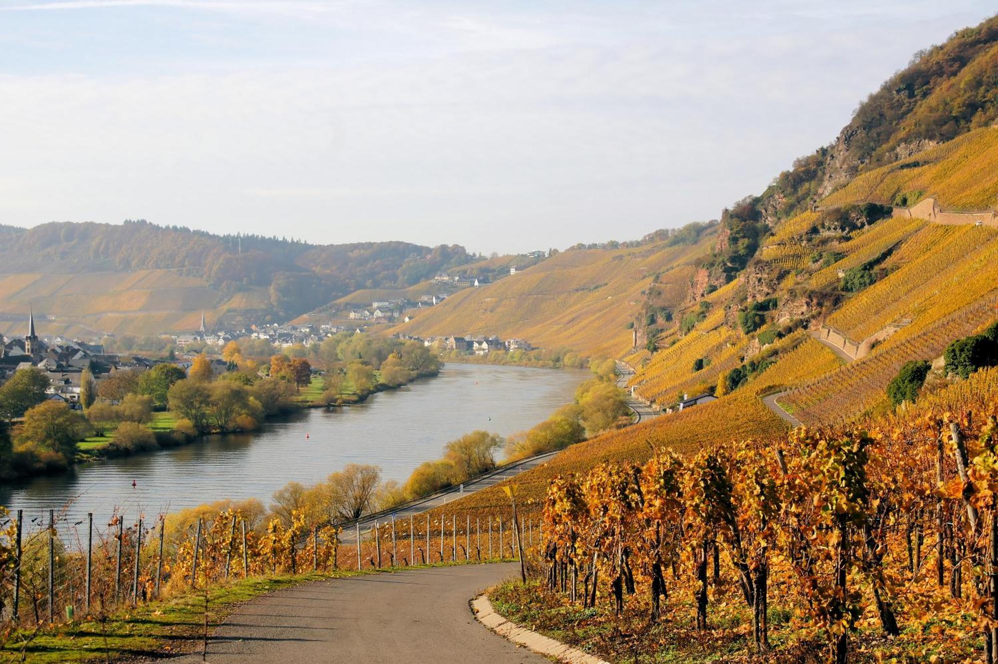 Weingut / Gaestehaus Gerlach