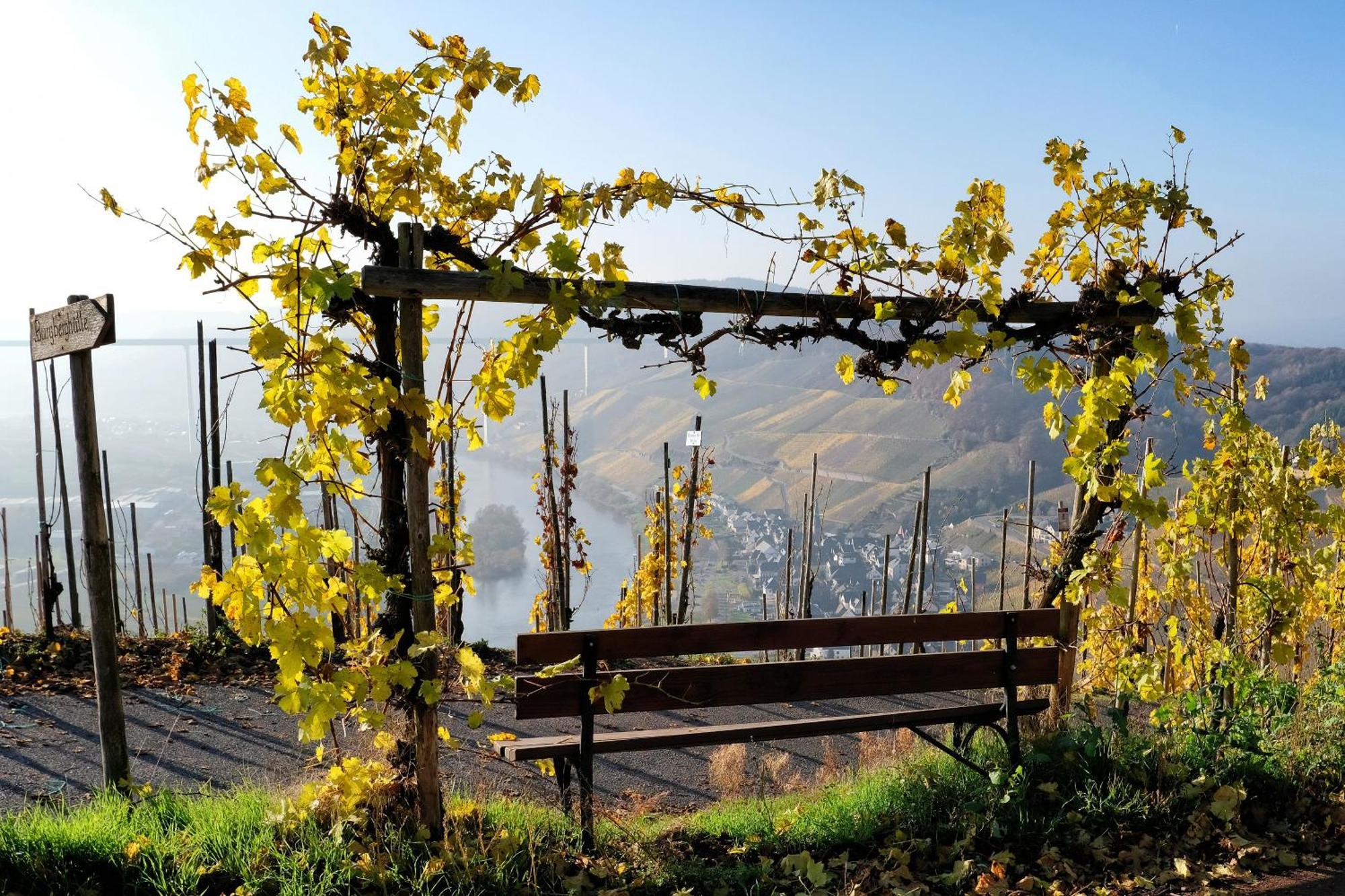 Weingut / Gaestehaus Gerlach Guest house 3*