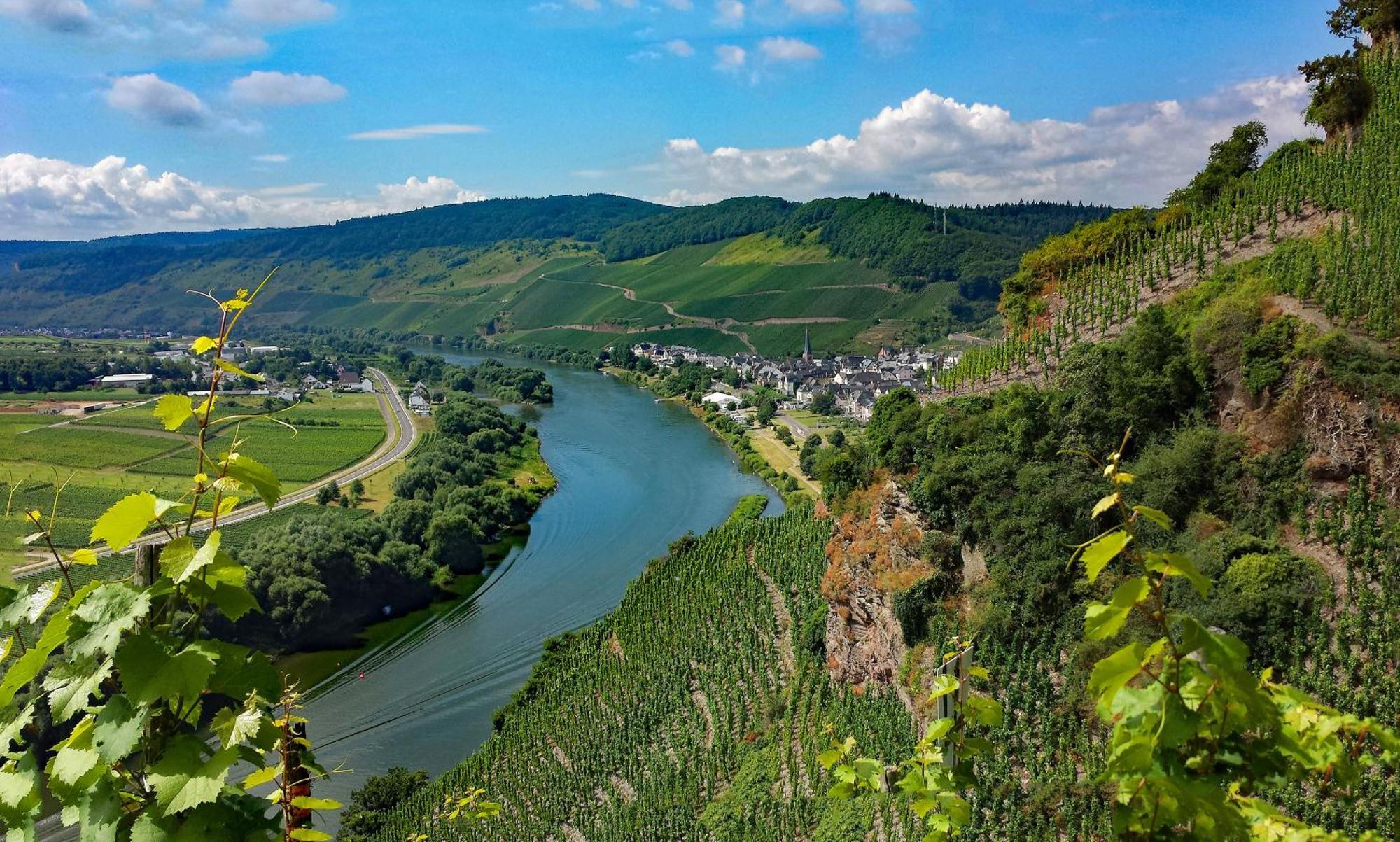 Guest house Weingut / Gaestehaus Gerlach Uerzig