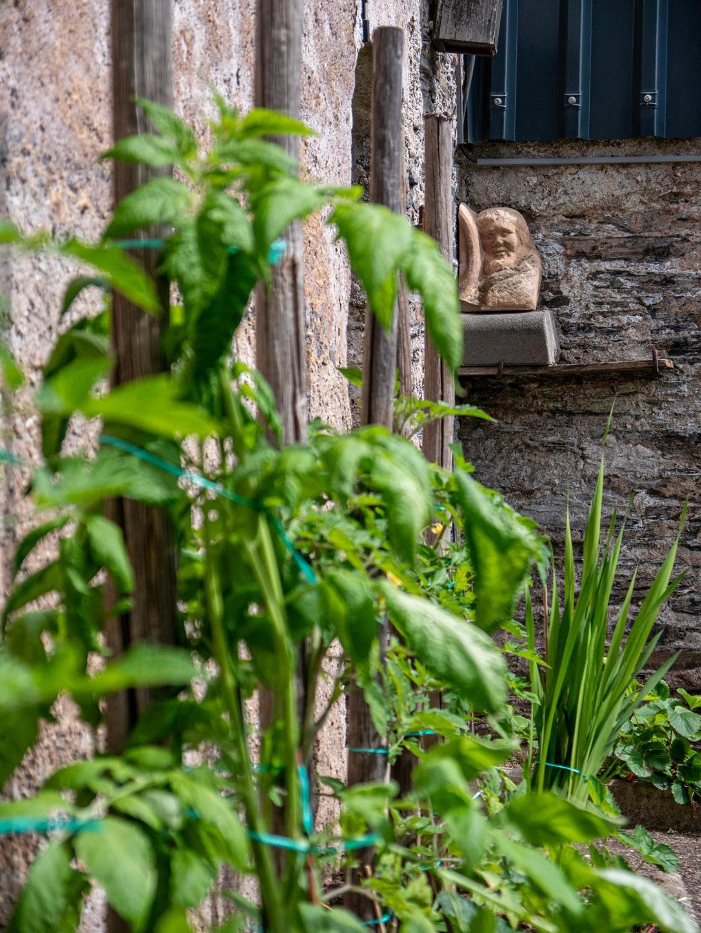 Guest house Weingut / Gaestehaus Gerlach 3*