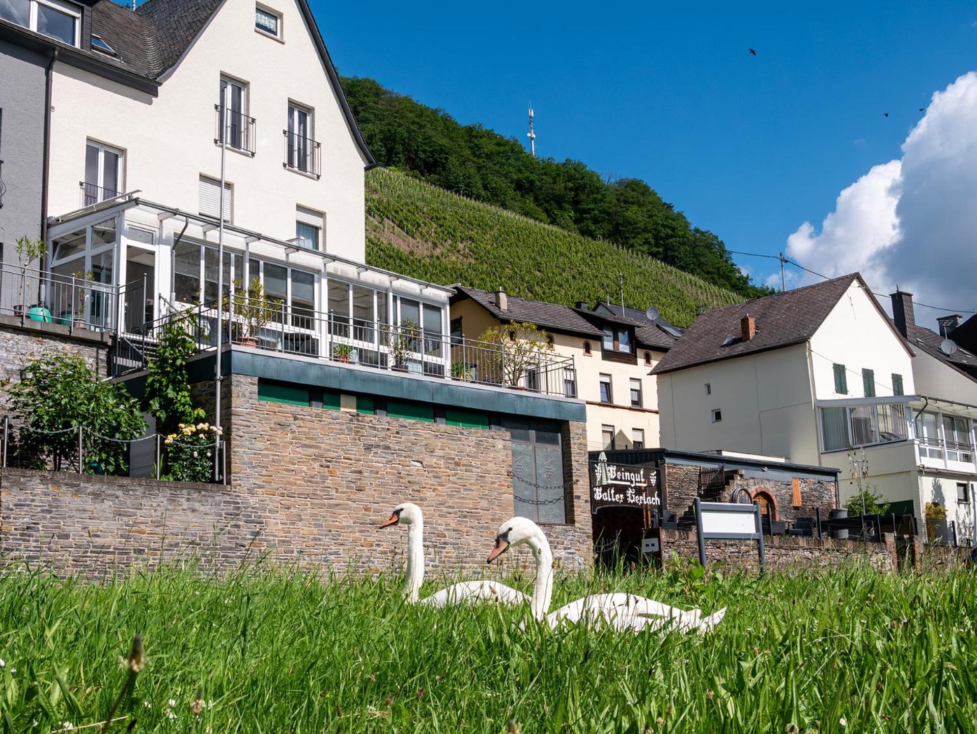 Weingut / Gaestehaus Gerlach Guest house Uerzig