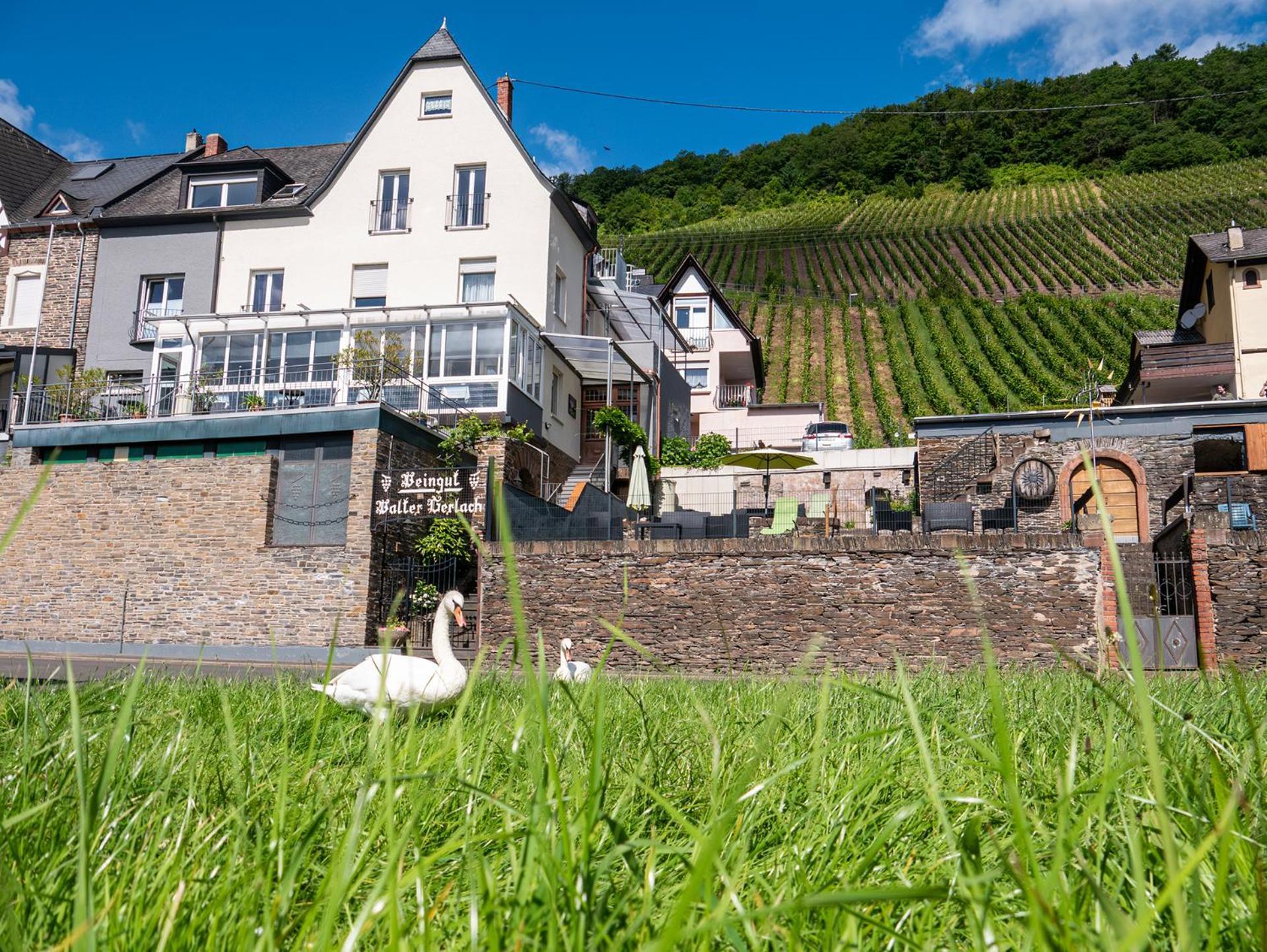 Guest house Weingut / Gaestehaus Gerlach Uerzig