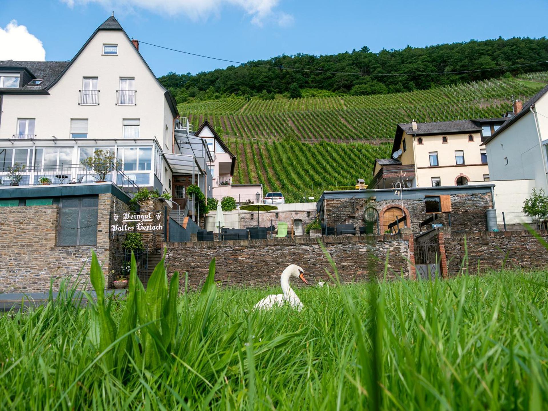 Weingut / Gaestehaus Gerlach Uerzig