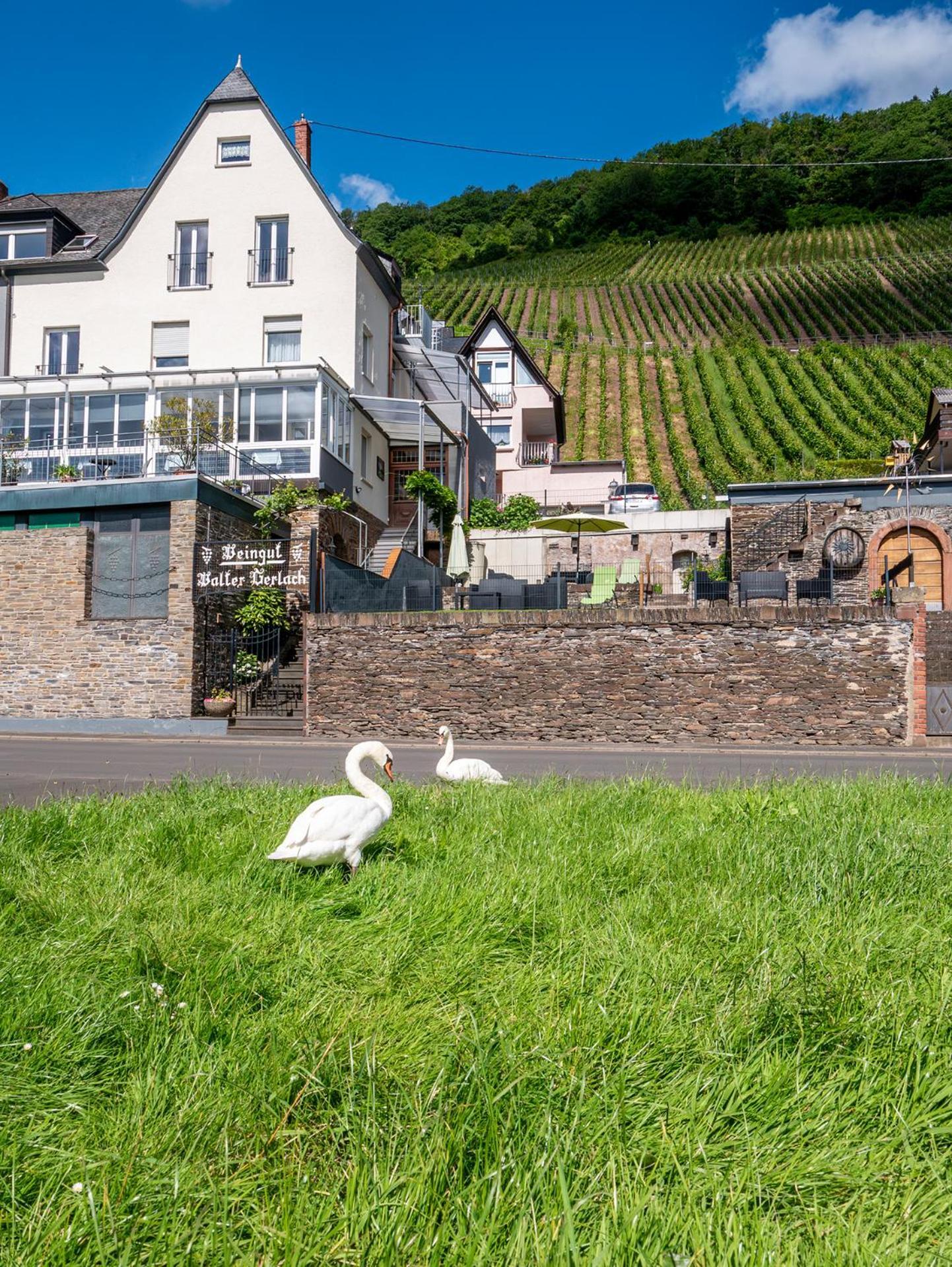 Guest house Weingut / Gaestehaus Gerlach